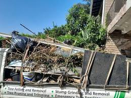 Best Shed Removal  in Triana, AL